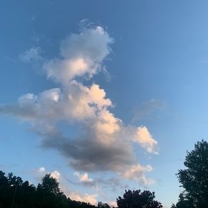 Meet your Posher, Audrey